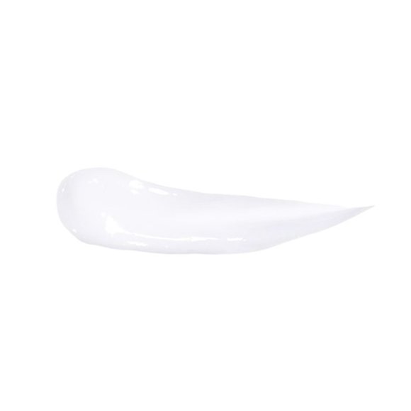 CHRISTOPHE ROBIN Delicate Volumizing Shampoo NEW - Picture 2 of 4